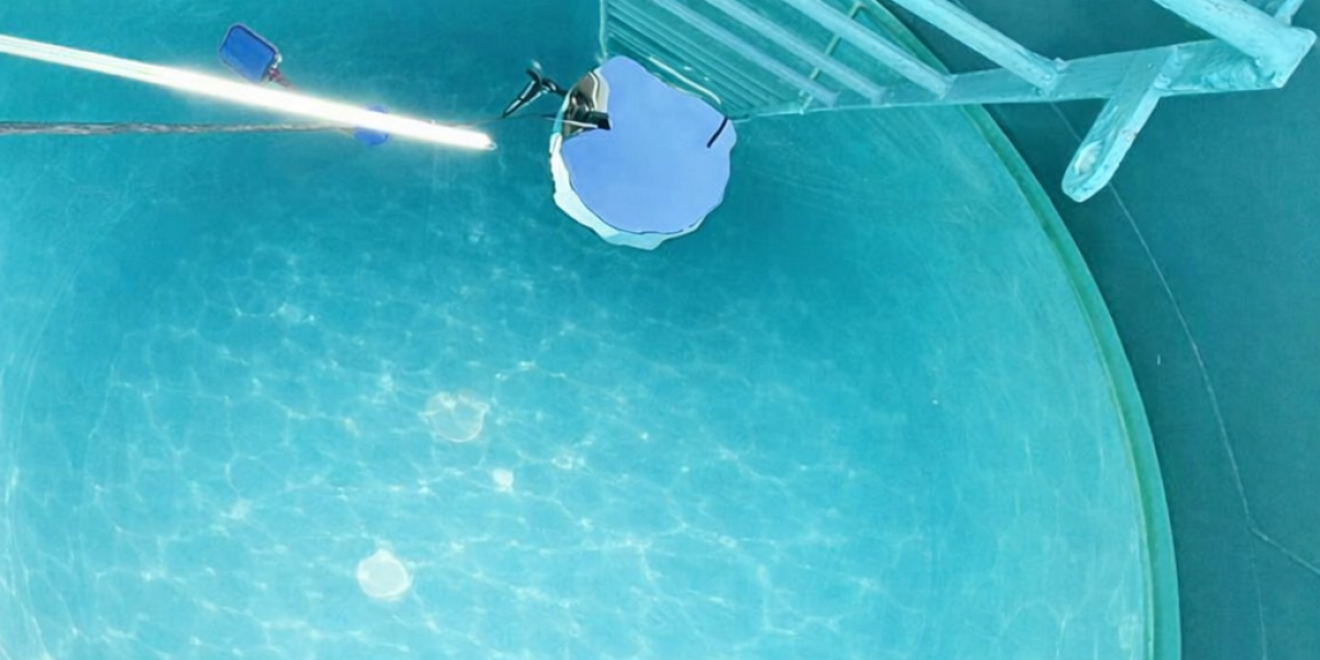 limpeza cx agua eucaliptos 2