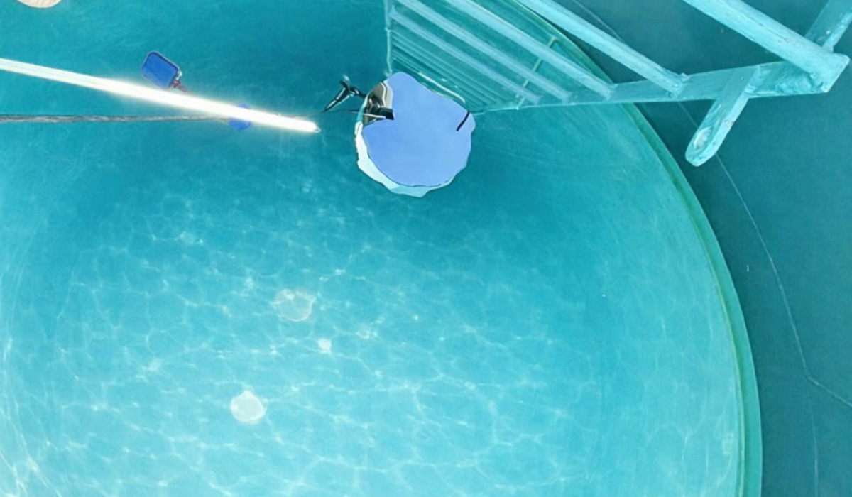 limpeza cx agua eucaliptos 2